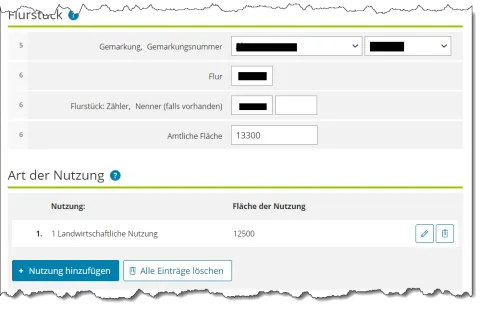 Die Eingabemaske von Elster ist zu sehen. Als Art der Nutzung wird "landwirtschaftliche Nutzung", als Fläche 12500 eingetragen.